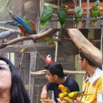 Environmental Enrichment and Mental Stimulation for Parrots